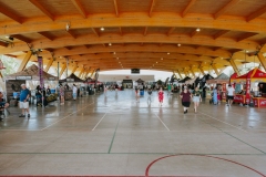 DSCF6833